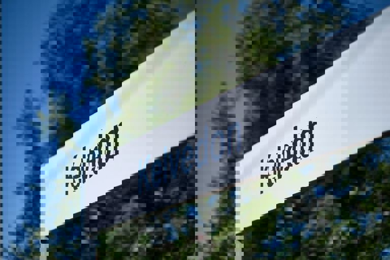 Dsf3659[1]