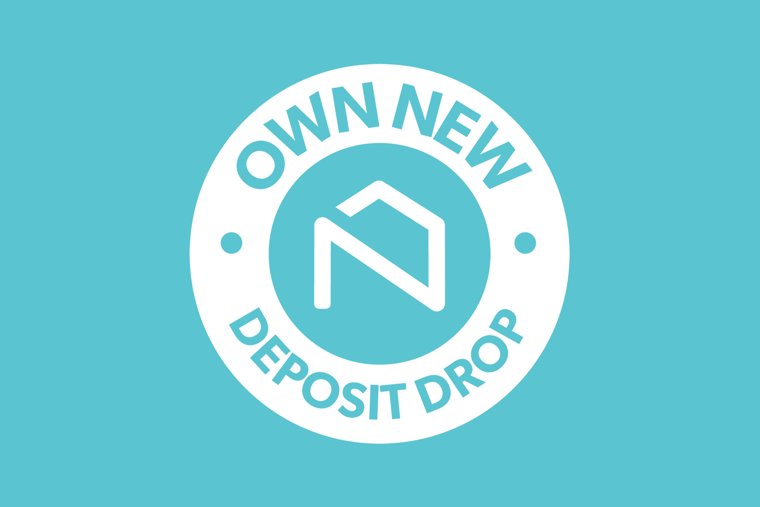 Image for An introduction to the Own New Deposit Drop
