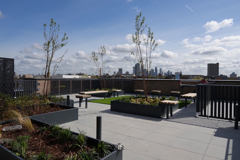 Roof Terrace