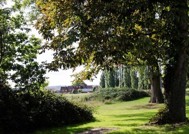 Local Area